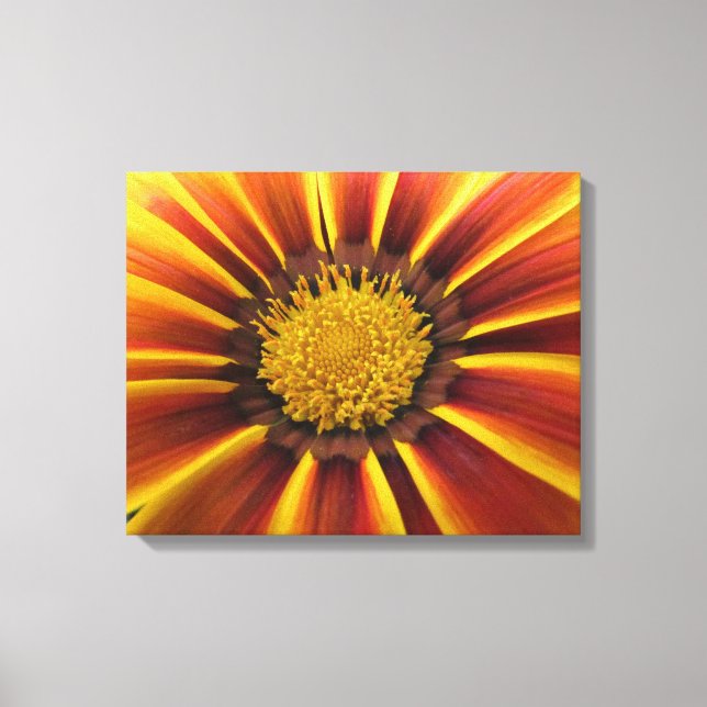 Gerber Daisy Up Close and Personal Canvas (Framsida)