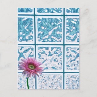 Gerber Daisy Vykort