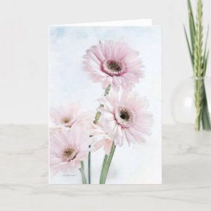 Gerber Daisys - Etsy Kort