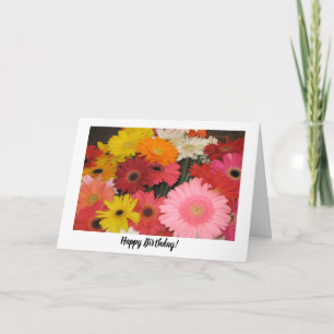 Gerbera Birthday Card Kort
