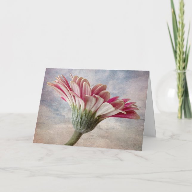Gerbera-blomkort Kort (Framsida)