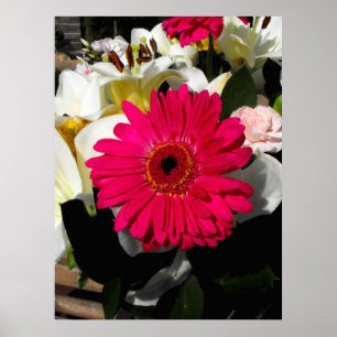 Gerbera-blomman i ett gäng blommor poster