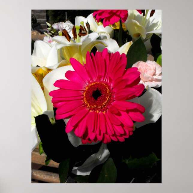 Gerbera-blomman i ett gäng blommor poster (Framsidan)