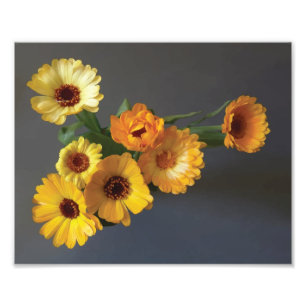 Gerbera bouquet-färg fototryck