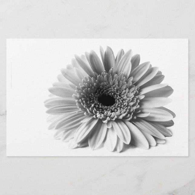 Gerbera Brevpapper (Framsida)