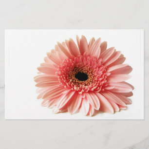 Gerbera Brevpapper