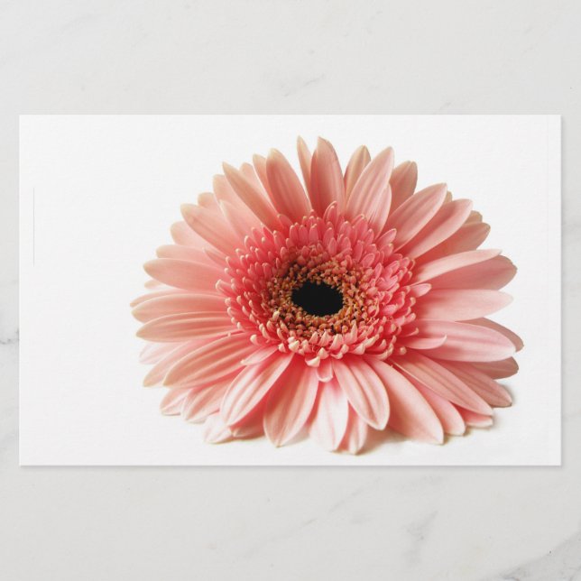 Gerbera Brevpapper (Framsida)