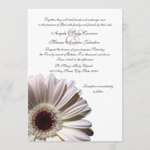 Gerbera Bröllop Daisy Inbjudningar