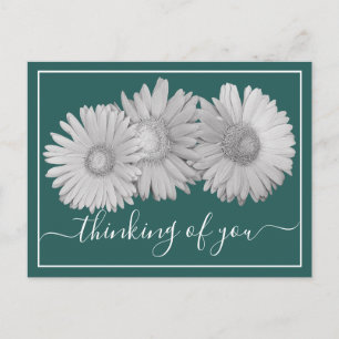 Gerbera Daisies Cyan Bakgrund Tänker På Dig Vykort