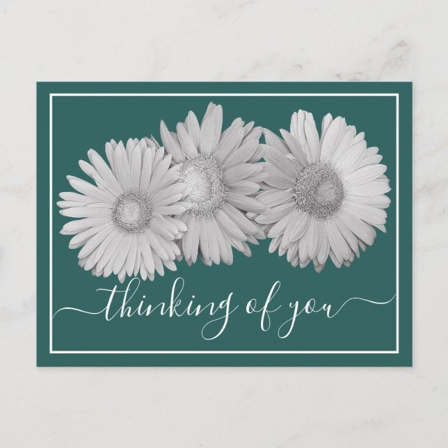 Gerbera Daisies Cyan Bakgrund Tänker På Dig  Vykort (Framsida)