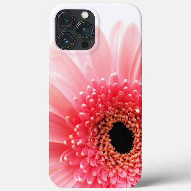 Gerbera Daisy  (Baksida)