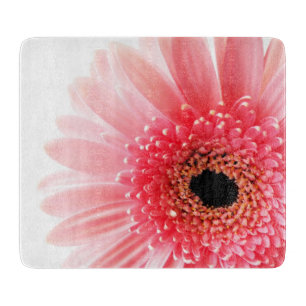 Gerbera Daisy