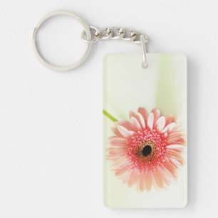 Gerbera Daisy