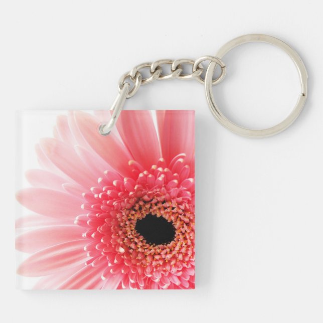 Gerbera Daisy  (Baksidan)