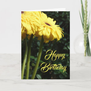 "Gerbera Daisy 1." Födelsedagshälsningskort Kort
