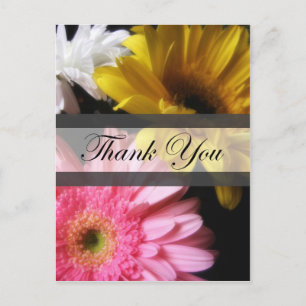 Gerbera Daisy 8 Tack Vykort