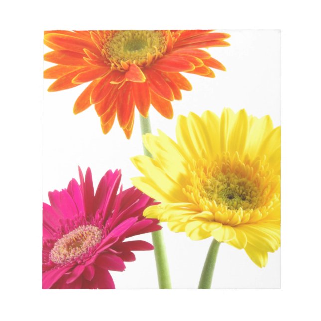 Gerbera Daisy Anteckningsblock (Framsida)