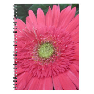 Gerbera Daisy Anteckningsbok Med Spiral