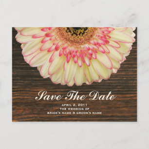 Gerbera Daisy & Barnwood sparar det datum vykortet Meddelande Vykort