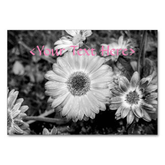 Gerbera Daisy Black & White Photograph Bordsnummer