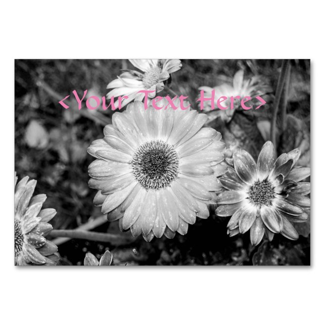 Gerbera Daisy Black & White Photograph Bordsnummer (Framsidan)