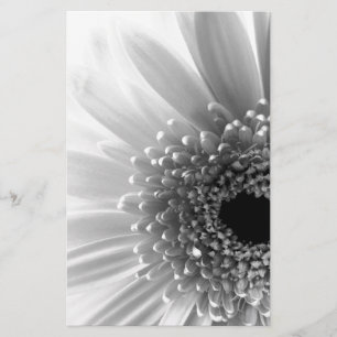Gerbera Daisy Brevpapper