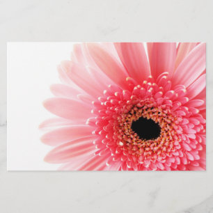 Gerbera Daisy Brevpapper