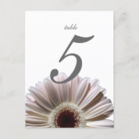 Gerbera Daisy/Bröllop Bord Card