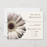 Gerbera Daisy Bröllop/ Response