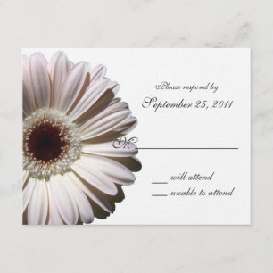 Gerbera Daisy Bröllop/ Response OSA Kort