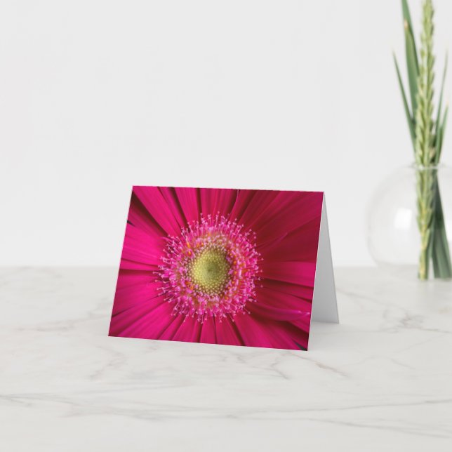 Gerbera Daisy Card Kort (Framsida)