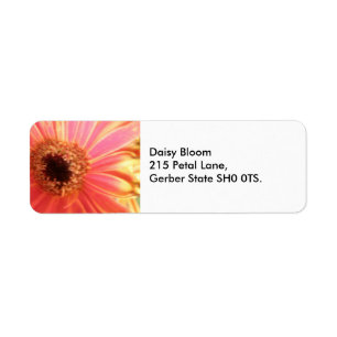 Gerbera Daisy Flower Adressetiketters Returadress Etikett