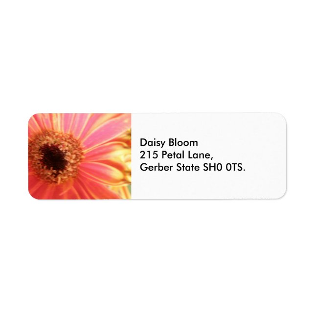 Gerbera Daisy Flower Adressetiketters Returadress Etikett (Framsidan)
