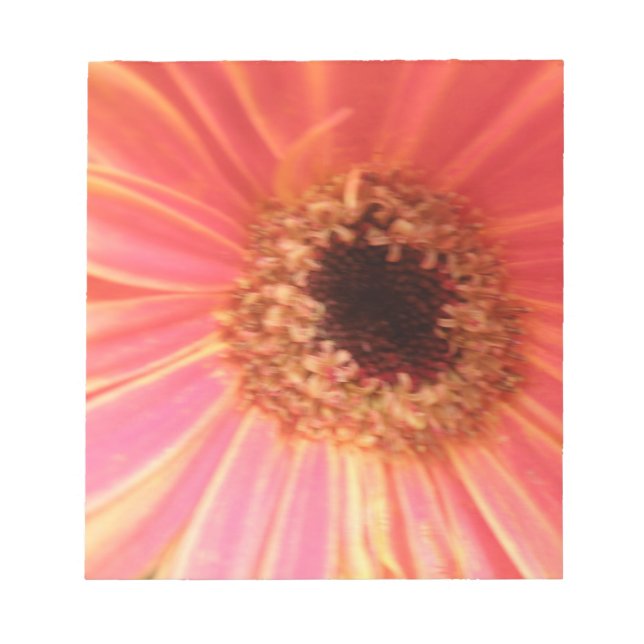 Gerbera Daisy Flower Anteckningsblock (Framsida)