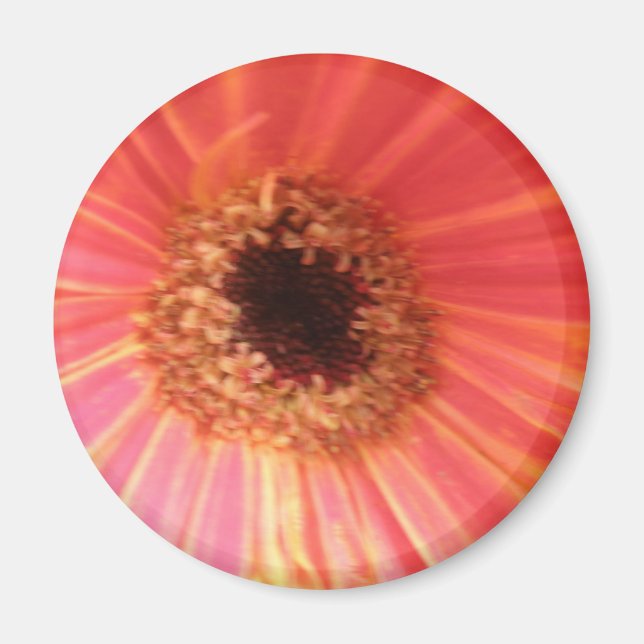 Gerbera Daisy Flower Magnet (Framsidan)