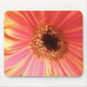 Gerbera Daisy Flower Mousepad Musmatta