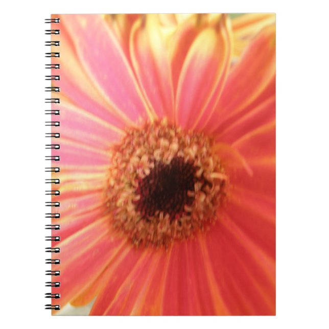 Gerbera Daisy Flower Notebook Anteckningsbok (Framsidan)
