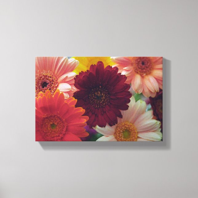 Gerbera Daisy Flower Photo Canvas Wall Art Skriv u (Framsida)