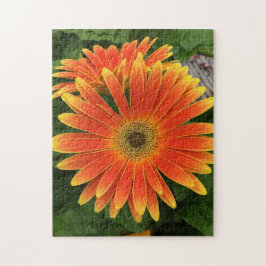 Gerbera Daisy Flower Puzzle Pussel