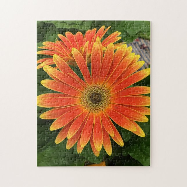 Gerbera Daisy Flower Puzzle Pussel (Vertikal)