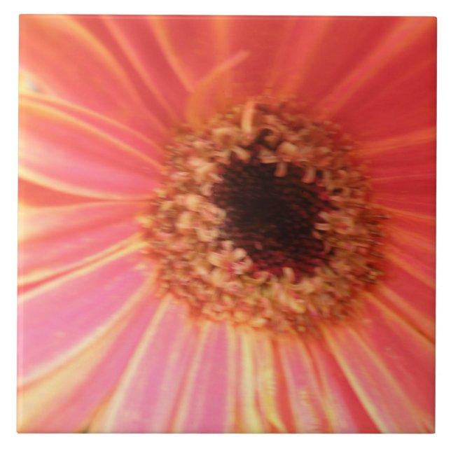 Gerbera Daisy Flower Tile Kakelplatta (Framsidan)