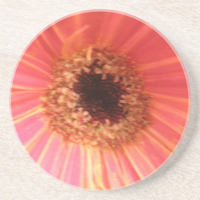 Gerbera Daisy Flower Underläggs Underlägg Sandsten (Framsidan)