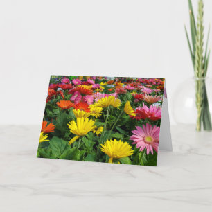 Gerbera Daisy Garden Birthday Kort
