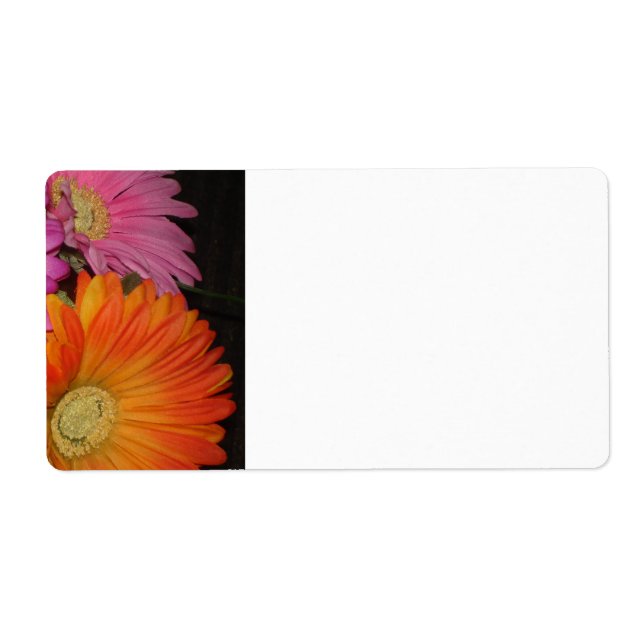 Gerbera Daisy Garden Fraktsedel (Framsidan)