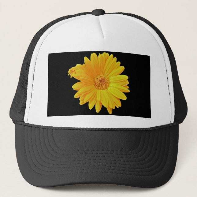 Gerbera Daisy (Gerbera hybrida) - Gult Truckerkeps (Framsida)