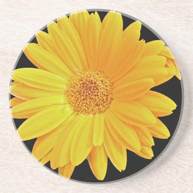 Gerbera Daisy (Gerbera hybrida) - Gult Underlägg Sandsten (Framsidan)