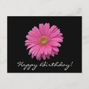 Gerbera Daisy Grattis på födelsedagen vykort