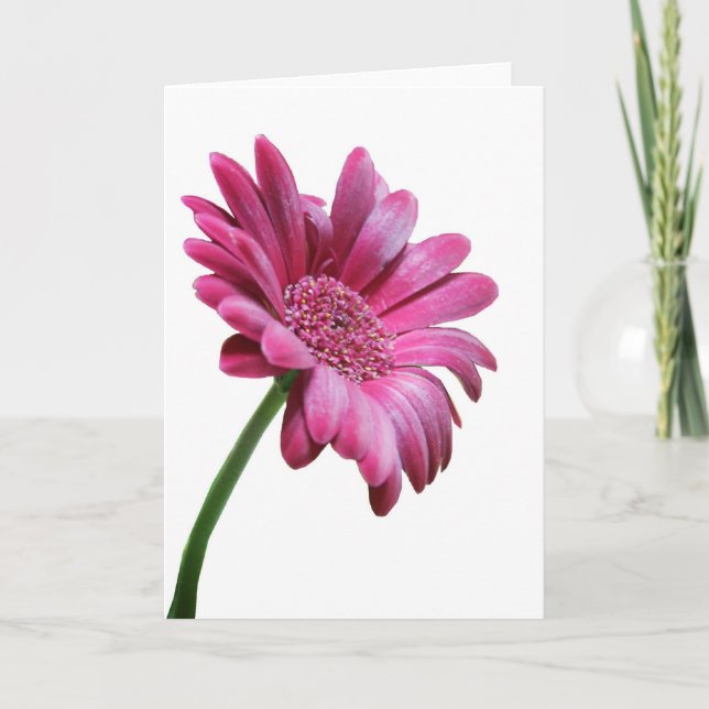 Gerbera Daisy Greeting Card Kort (Framsida)