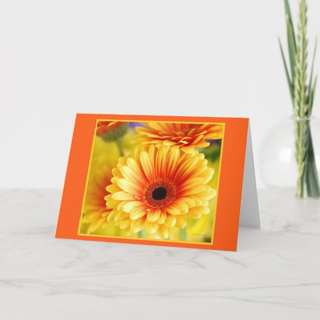 Gerbera Daisy Greeting Card Kort (Framsida)