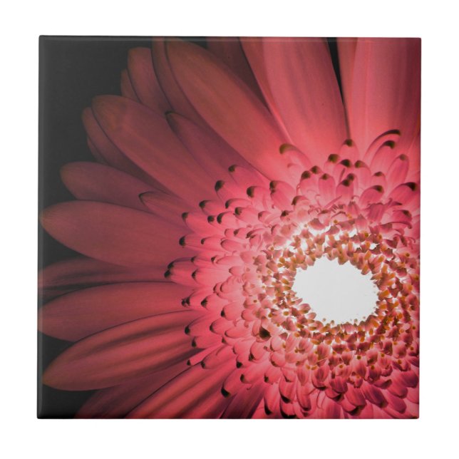 Gerbera Daisy Kakelplatta (Framsidan)